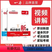 语文+数学 一年级上 [正版]一本2024小学语文数学下册同步培优试卷一二三四五六年级上下册测试卷同步练习卷24春同步训