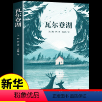 [正版]瓦尔登湖原著 梭罗力著王光林全译本完整无删减 外国现当代文学经典读物世界名著初高中小学生课外阅读小说书籍