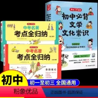 [全2册]初中文学+名著考点 初中通用 [正版]全套2册中考名著考点全归纳 七八九年级上下册初中生中考必读12本名著语文