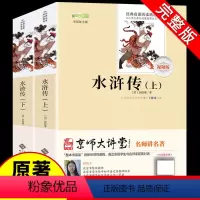 [北师大版]水浒传上下2册 [正版]北师大版水浒传原著上下册施耐庵著详注详解版带注释译文北京师范大学出版社语文 阅读书籍