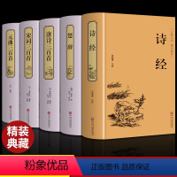 [正版]全套5册唐诗宋词元曲三百首诗经楚辞全集全解原文原著完整版全图解中国古典诗词鉴赏词典详注译注图解注析300首古文