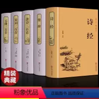 [正版]全套5册唐诗宋词元曲三百首诗经楚辞全集全解原文原著完整版全图解中国古典诗词鉴赏词典详注译注图解注析300首古文