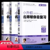 [推荐 3本套]小升初总复习语数英 小学升初中 [正版]新版小升初总复习真题卷语文数学英语模拟试卷人教版全国版衔接木
