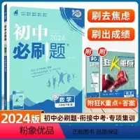数学-北师版 [正版]2024新版初中八年级下册数学人教版初二数学八年级下册数学全套试卷北师沪科湘教资料书8年级八下同步