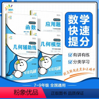 初中数学专项突破 函数 初中通用 [正版]53一起同学任选正品2024版初中数学专项突破初中数学函数几何应用题计算题