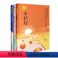 小桔灯/繁星·春水/寄小读者(冰心儿童文学集)(全三册) [正版]冰心儿童文学集 作品精选全套3册 小桔灯 繁星春水 寄