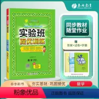 数学北师版 六年级下 [正版]2024春新版实验班提优训练小学六年级下册数学北师大版 BS小学6年级下册同步练习册尖子生