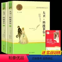 大卫·科波菲尔 (全两册) [正版]大卫·科波菲尔 全两册名著阅读课程化丛书 查尔斯·狄更斯著全译本初高中生青少课外阅读