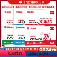 ?164套[冲刺新卷+大集结]语数英6本 小学升初中 [正版]2024一本小升初冲刺新卷语文数学英语人教版小升初真题卷六