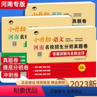 语文+数学+英语[全套3本]河南专版 [正版]2023新版河南名校招生分班真题卷38套六年级下册语文数学英语小升初真题模