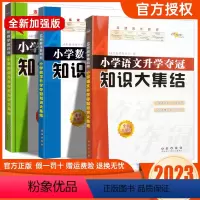 [全套3本]语文+数学+英语 小学通用 [正版]2023版 小升初知识大集结语文数学英语通用版全套3本小学语文升学夺冠知