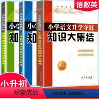 语数英知识大集结[三本套] 小学升初中 [正版]2024新版 小学语文升学夺冠知识大集结全新升级版小升初毕业总复习考试辅