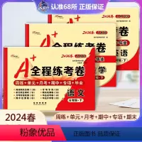 语文+数学+英语 人教版 六年级下 [正版]3本2024新版 A+全程练考卷六年级语文数学英语人教版下册试卷 小学6年