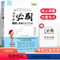 800道 英语综合过关题 小学升初中 [正版]全脑训练 小升初必刷800道英语综合过关题 英语基础单词语法知识辅导练习册