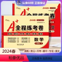 [正版]2本2024春新版 A+全程练考卷二年级下册语文人教版数学北师大版小学2年级试卷 周练+单元+月考+期中+专项