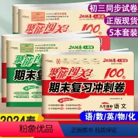 全5册] 语数英物化 人教版 九年级下 [正版]2024春 全5册聚能闯关期末复习冲刺卷 语文数学英语化学物理9年级