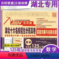 [正版]2024小考湖北十大名校入学摸底真卷数学武汉小学毕业升学真题详解五六年级冲刺名校小升初重点百校联盟湖北名校招生