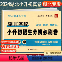 湖北名校 小升初招生分班必刷卷 [数学] 小学升初中 [正版]2024新版 湖北名校 小升初招生分班必刷卷数学 小升初升