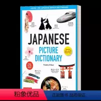 日语图片词典 [正版]英文原版 Learning Japanese Hiragana and Katakana 平假名和