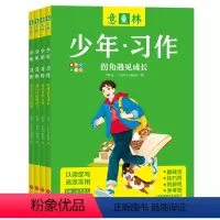 意林少年习作全4册 [正版]意林少年习作全套4册爱在光年之外笔尖上的自然我记得你的样子课拐角遇见