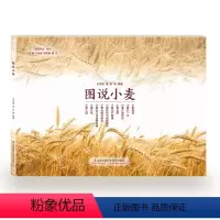 [正版]图说小麦