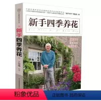 [正版]新手四季养花 阳台菜园书养花书籍种花大全盆景书籍图书大全植物书籍大全园艺书籍花卉书籍花卉养殖书籍多肉书籍大全养