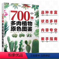 [正版]700种多肉植物原色图鉴 第二版 多肉植物图鉴 养多肉的书 多肉养殖书籍 多肉养殖教程 多肉图谱多肉图鉴 多肉