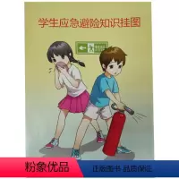 [正版]学生应急避险知识挂图 ISBN:9787553753171 出版社:江苏凤凰科学技术出版社 出版日期:2