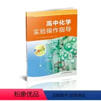 [正版]高中化学实验操作指导