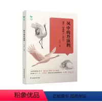 [正版]风中的丹顶鹤——相伴“湿地仙子”的日子