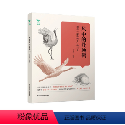 [正版]风中的丹顶鹤——相伴“湿地仙子”的日子