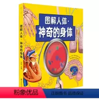 图解人体•神奇的身体 [正版]图解人体•神奇的身体