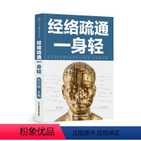 [正版]经络疏通一身轻 经络穴位 中医入门 按摩养生