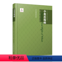 [正版]小麦赤霉病 出版时间:2019年12月 出版社:江苏凤凰科学技术出版社 作者:马鸿翔,周明国,陈怀谷,等