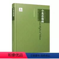[正版]小麦赤霉病 出版时间:2019年12月 出版社:江苏凤凰科学技术出版社 作者:马鸿翔,周明国,陈怀谷,等
