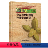 [正版]中国薄壳山核桃种质资源研究