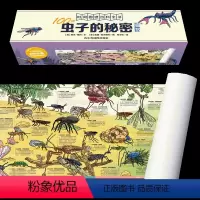 100种虫子的秘密 [正版]墙书:100种虫子+动物+恐龙+植物的秘密儿童6-12岁小学生科普历史大全书英国剑桥大学墙书