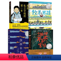 纽伯瑞大奖小说(全4册) [正版]7-14岁纽伯瑞大奖小说(全4册) 我在私立学校的第一年+小狐狸不不不害怕+牧羊男孩+