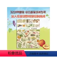 给孩子的自然图鉴-植物图鉴 [正版]7-10岁给孩子的自然图鉴 植物图鉴 沈兆媛 著 我家门 外的自然课系列 植物科普