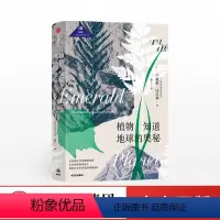 [正版]植物知道地球的奥秘 戴维比尔林 著 植物化石的迷人发现史 地球奥秘 科普 出版社图书