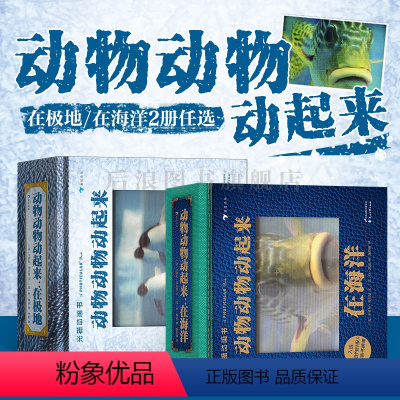 动物动物动起来:在海洋 [正版]浪花朵朵 光栅动画书 动物动物动起来 在极地 在海洋2册任选 3D立体纸上科普动画书