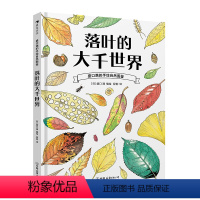 落叶的大千世界 [正版]浪花朵朵 盛口满的手绘自然图鉴 落叶的大千世界 7-10岁 落叶植物 日本童书研究会 科普百