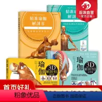 [正版]瑜伽3D解剖书4册套装 艾扬格弟子瑞隆医学科学体式彩色插图分解动作运动健身入门指南