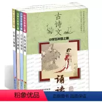 [正版]古诗文诵读小学五、六年级上下册共4本套装