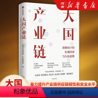 [正版]大国产业链 新格局下的宏经济观与行业趋势 中金公司研究部 等著