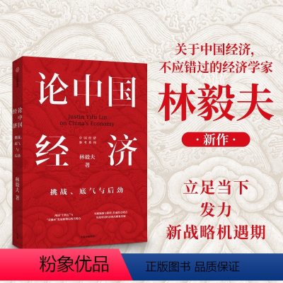 [正版]论中国经济 挑战底气与后劲 林毅夫 林毅夫解读中国经济 分析“十四五”与“双循环”出版社经济理论