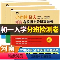 语文+数学+英语 小学升初中 [正版]河南省书店 河南名校招生分班真题卷 初一入学分班小升初 数学语文英语六年级小学毕