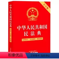 [正版]中华人民共和国民法典(法律条文司法解释典型案例大字版)