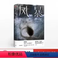 [正版]风暴来的那一天 吴沚默 著