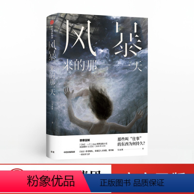 [正版]风暴来的那一天 吴沚默 著